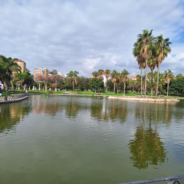 Departamento Malaga - Apartamento de 2 dormitorios - 28