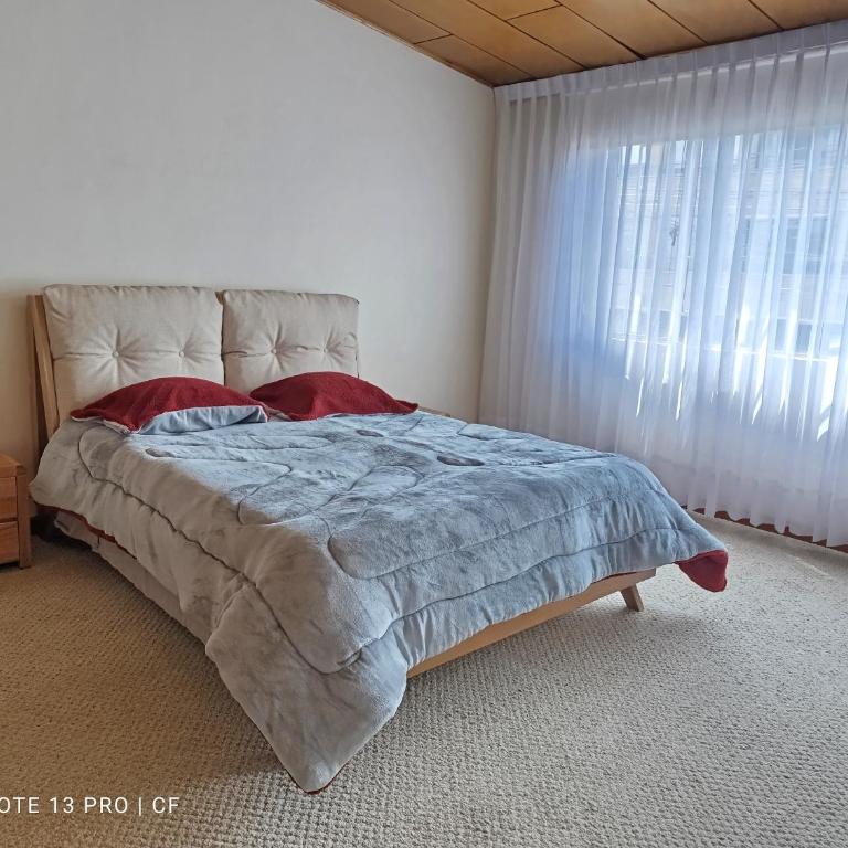 Hermosa casa tranquila, elegante y central - Habitación Doble - 1 o 2 camas - 1
