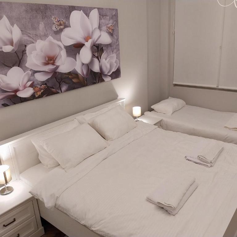 Maximus Apartments - Apartman sa 1 Spavaćom Sobom - 12