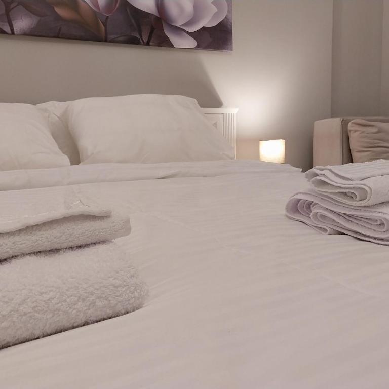 Maximus Apartments - Apartman sa 1 Spavaćom Sobom - 19