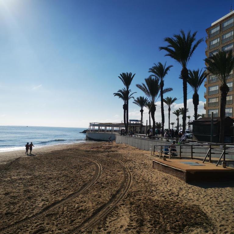PalmLoft Torrevieja - Apartamento de 1 dormitorio - 15