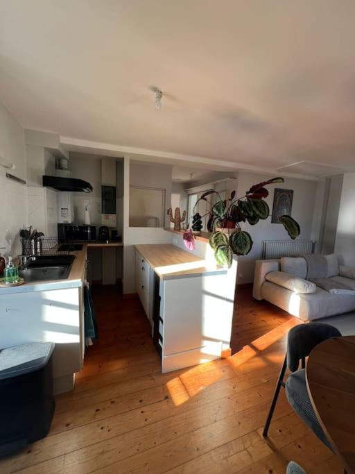 Appartement Charlie, Wifi, Charme, Centre Historique - Appartamento con 1 Camera da Letto - 9
