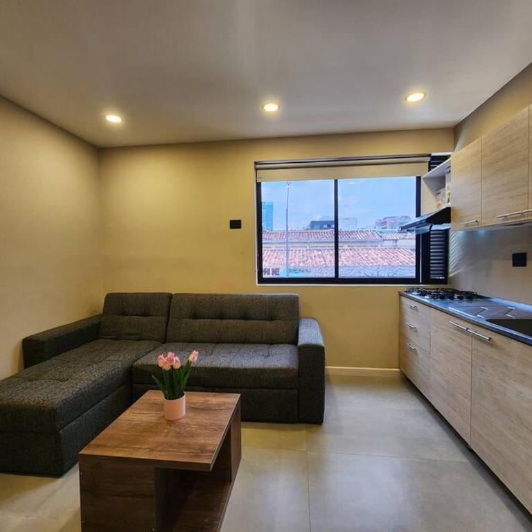 Loft 10, Aparta estudio 203 - Apartamento de 1 dormitorio - 10