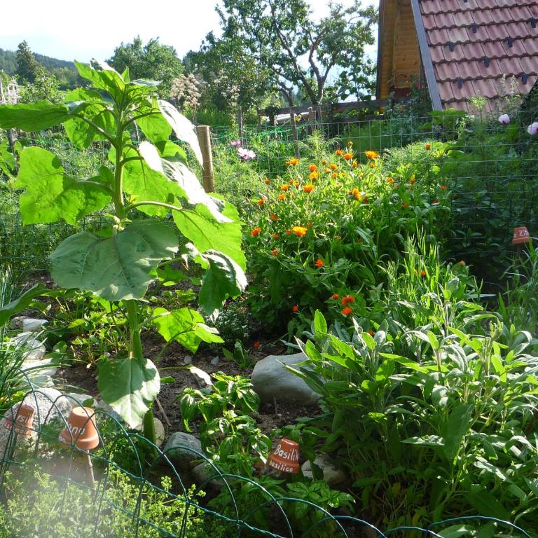Froetscherhof, Urlaub auf dem Bio-Bauernhof in Brixen, Appartments, Sauna und BrixenCard - Two-Bedroom Apartment - 45