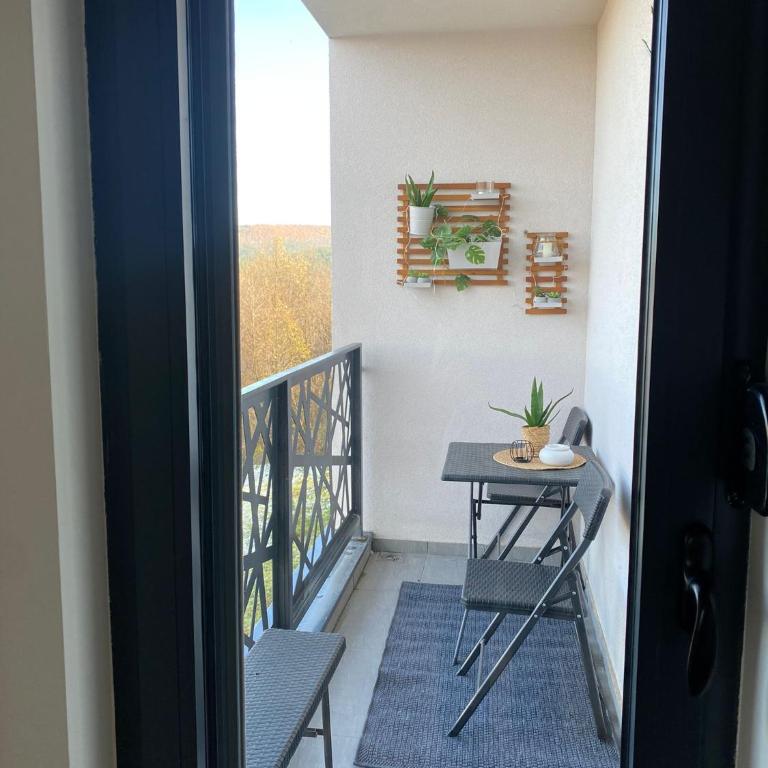 Hakuna Matata 2 - One-Bedroom Apartment - 21