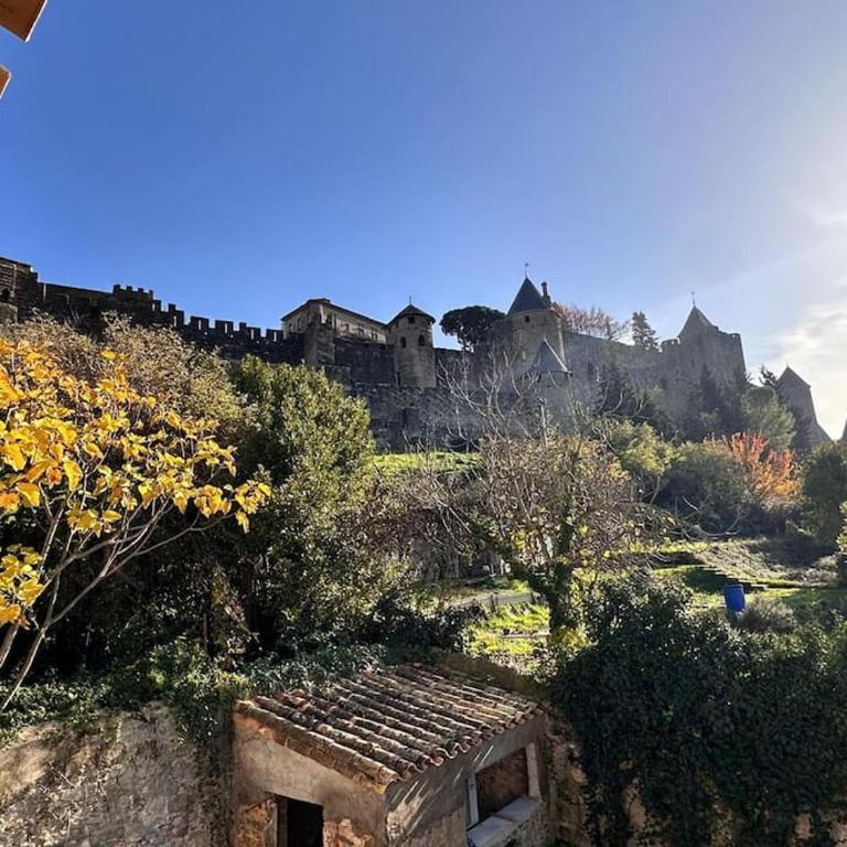 Maison Henriette - Au plus près de la Cité Médiévale - Apartment mit 3 Schlafzimmern - 51