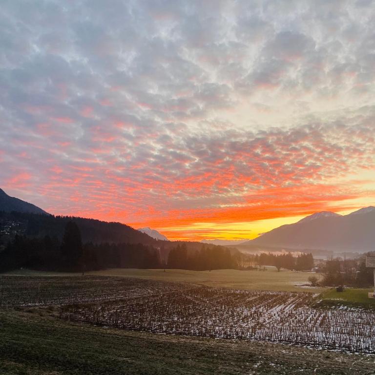 Entspannen im Holzchalet mit Panoramablick, Ruhe und Infrarotsauna - Apartment mit 2 Schlafzimmern - 18