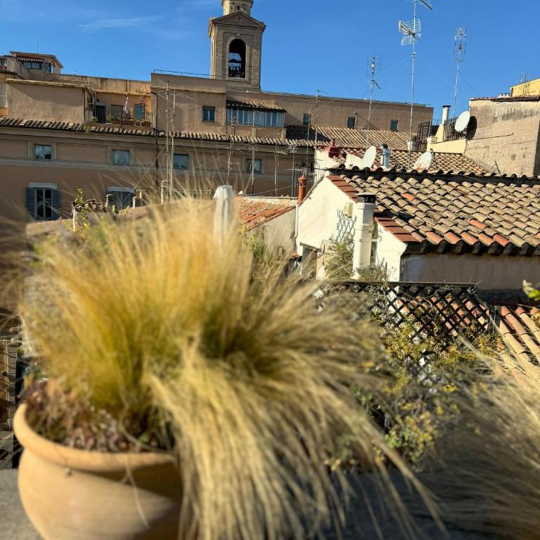 Pantheon Gabbianina Home - One-Bedroom Apartment - 66