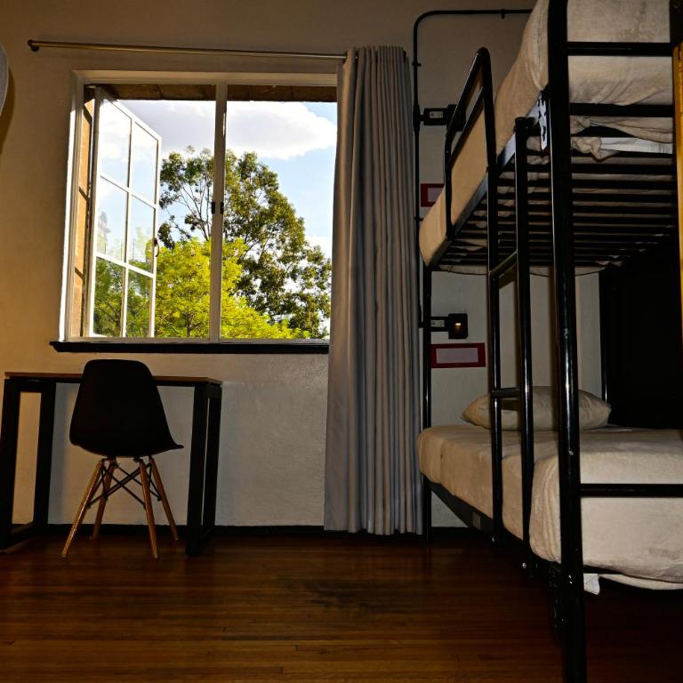 Hostel Mundo Joven Catedral - Bed in 6-Bed Mixed Dormitory Room Interior Shared Bathroom - Zocalo View - 1
