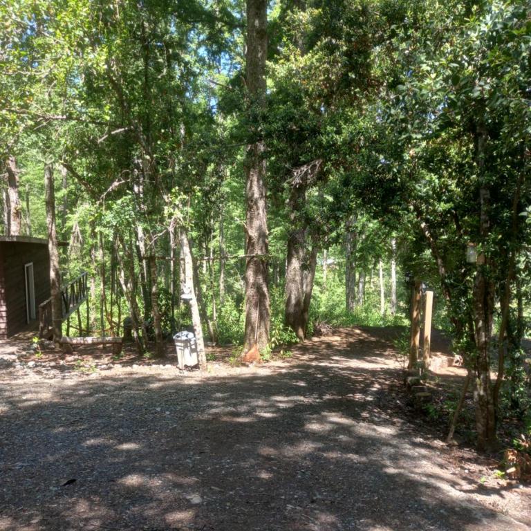 Roble laurel - Casa con 1 dormitorio - 3