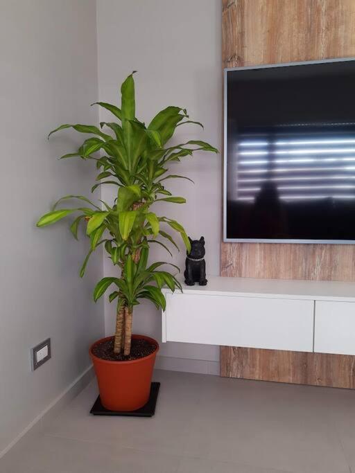 Summer Haven MaR dEl PlAtA - Casa con 1 dormitorio - 6
