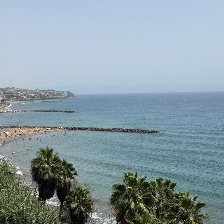 Luxury Danubio Ocean View - Apartamento de 1 dormitorio - 5
