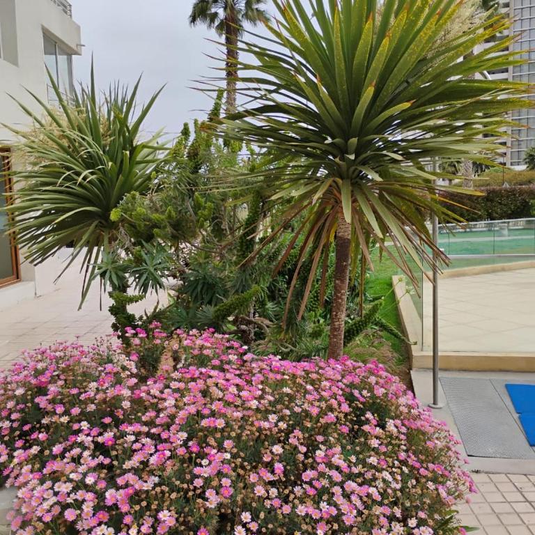 Marina 1 piso 23 - Apartamento de 3 dormitorios con vistas - 15