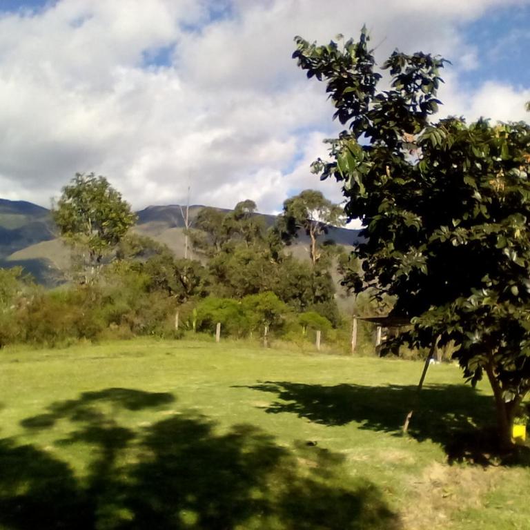 Hospedaje y Zona de Camping Pistacho - Double Room - 3