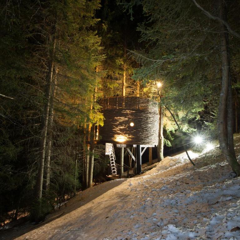 Cabane entre terre et ciel - Cabane dans les Arbres Nid - 12