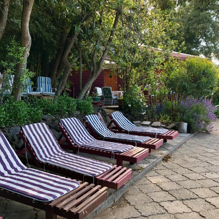Parador Preandino El Chacay - Habitación Familiar con baño compartido - 6