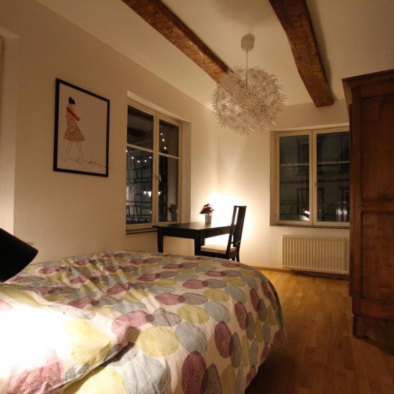 Colmar Historic Center - Alsacian Appartement PETITE VENISE 1 - BookingAlsace - Appartamento Superior - 32