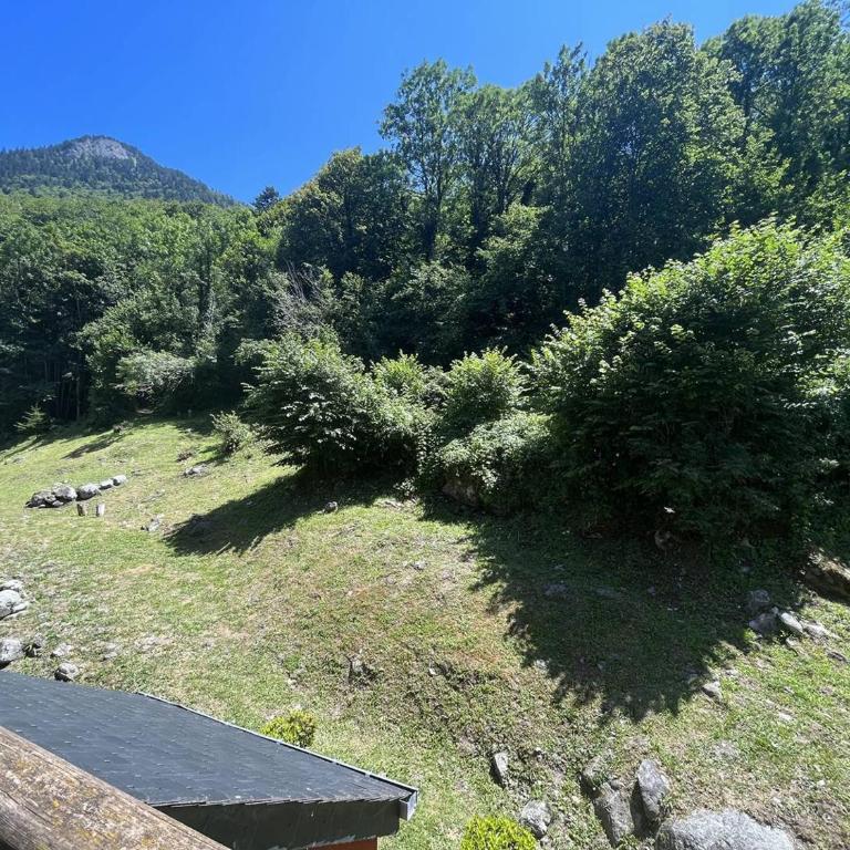Appartement avec piscine chauffée, parking et vue montagne à Cauterets - FR-1-812-77 - Apartment - 6