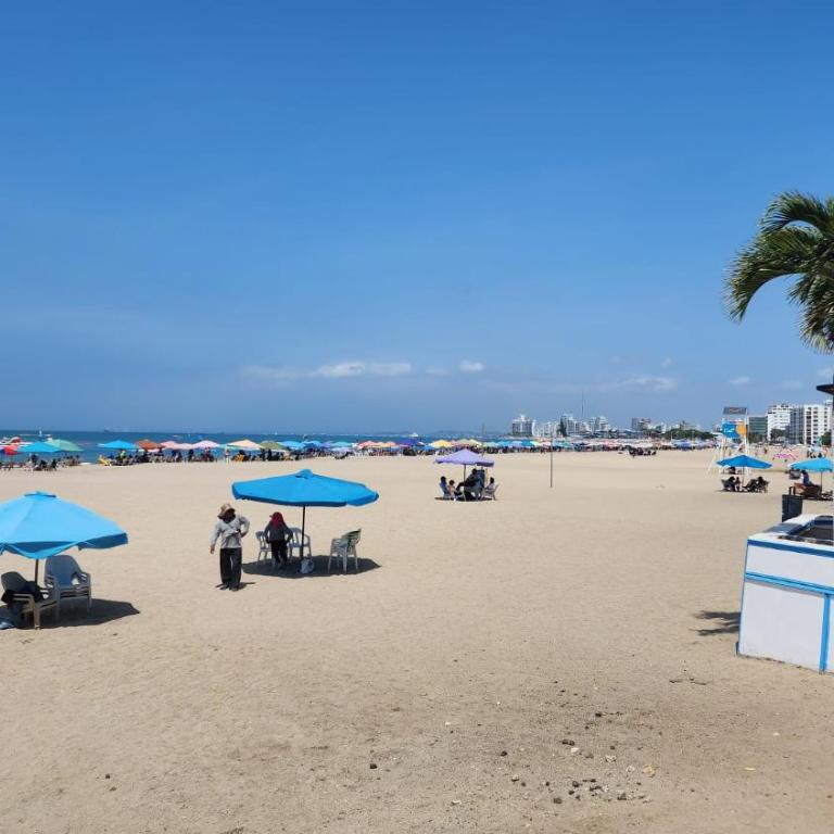 APt CHINCHIPE - Apartamento de 2 dormitorios - 34