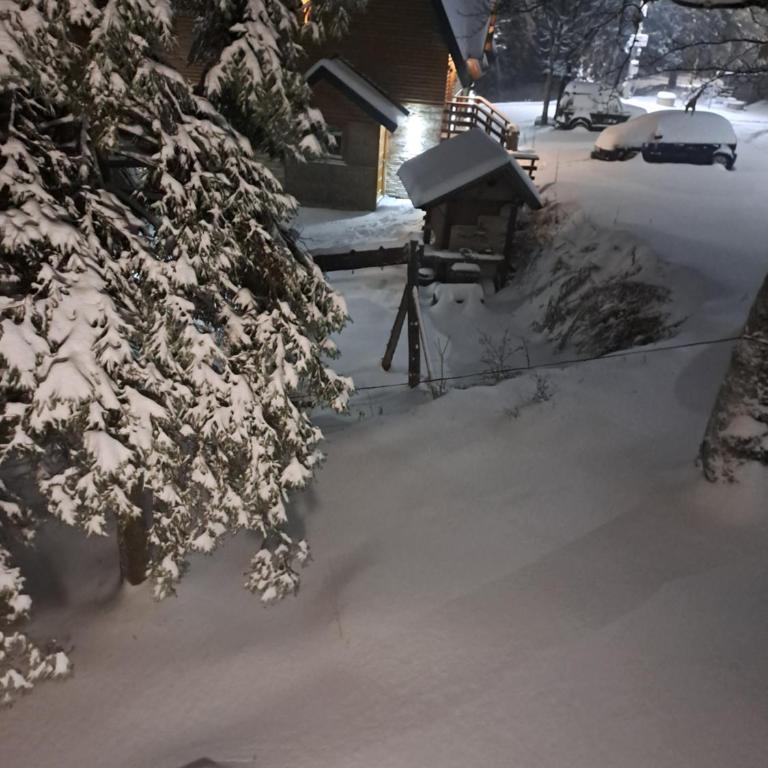 Vikendica Vedran Jahorina - Two-Bedroom House - 9