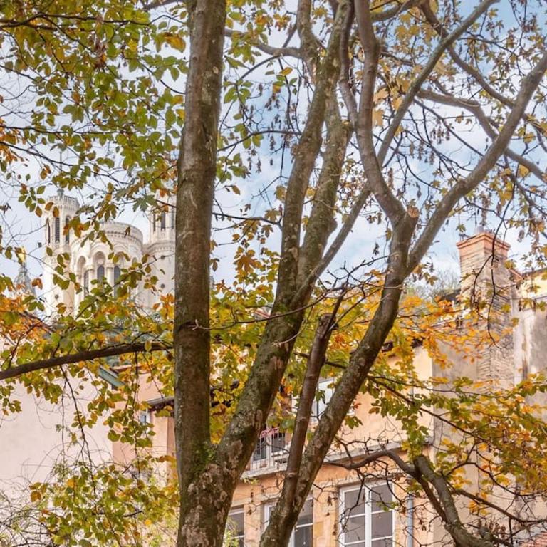 Le Cocon de Saint-Jean - Appartement 1 Chambre - 8