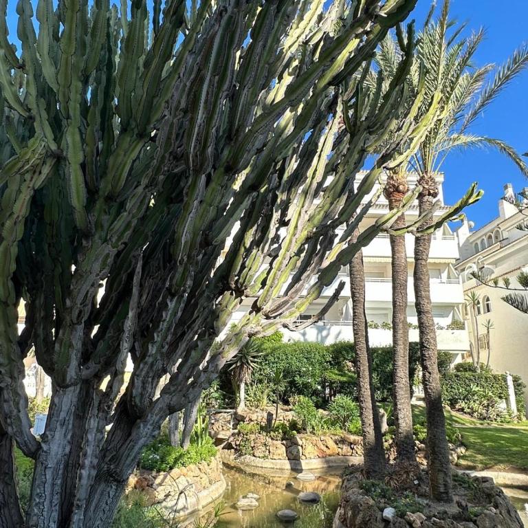 Playa Real - Apartamento de 2 dormitorios con balcón y vistas al mar - 29