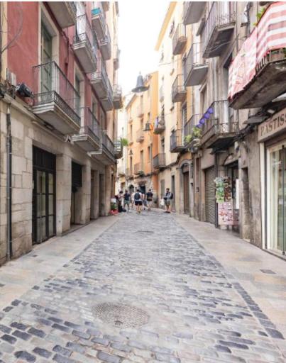Apartamento con encanto y terraza en Barri Vell de Girona, El Cul de la Lleona - Apartamento de 2 dormitorios - 28