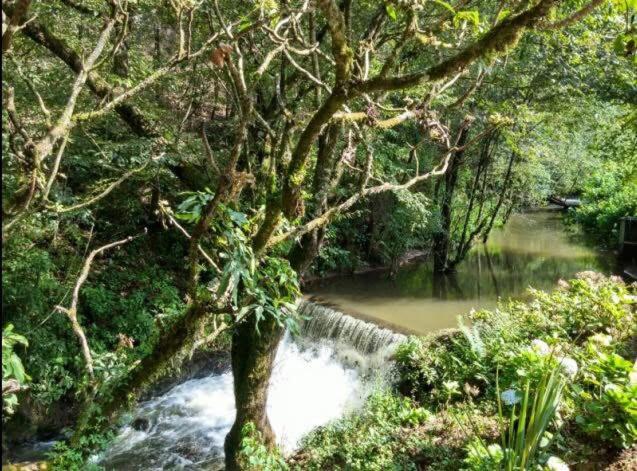 River Home - Casa de 4 dormitorios - 12