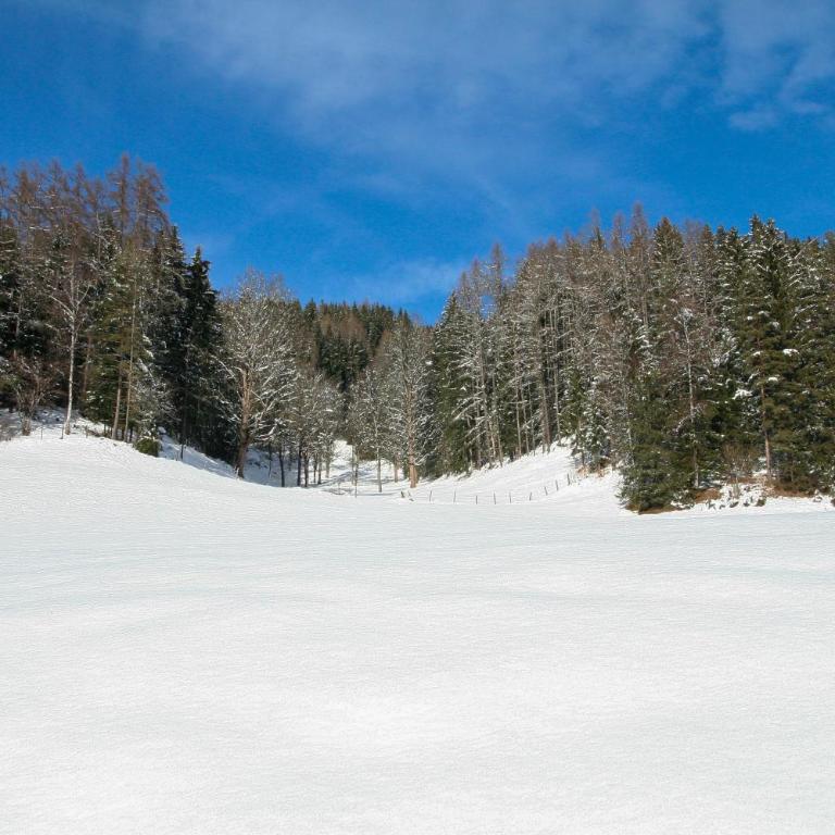 Appartement Mei Liab Schladming - Apartment mit 2 Schlafzimmern - 18