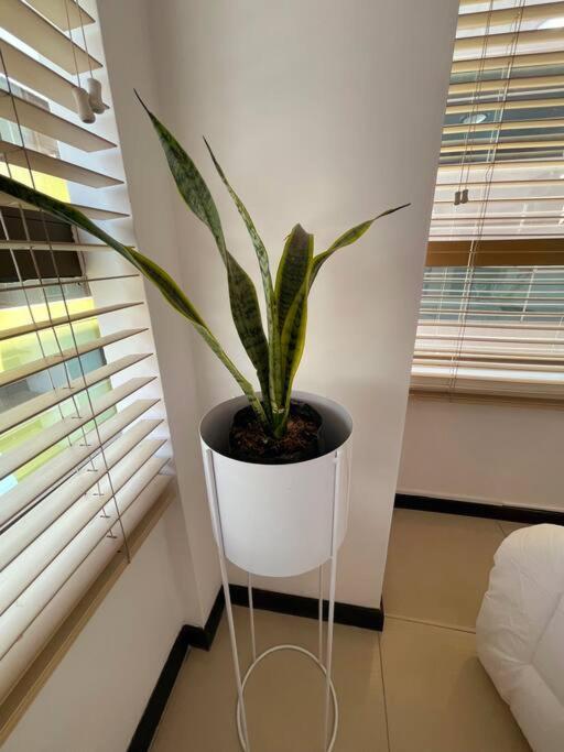 Ecuabook Suite Familiar 810 Frente Mall Del Sol - Apartamento de 2 dormitorios - 59