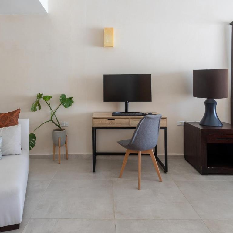 Oceanview Private Rooftop Pool, Steps to Mamitas - Vacation Home - 19