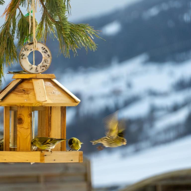 Appartement Mei Liab Schladming - Apartment mit 2 Schlafzimmern - 16