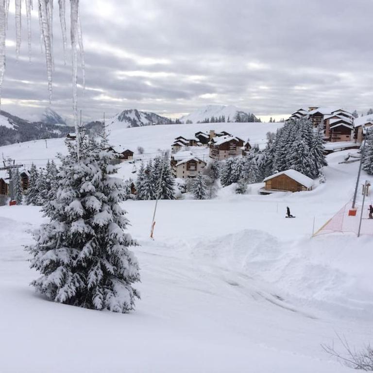 Apartment Manigod-L'Étale-La Clusaz skIs aux pieds - Appartement 3 Chambres - 15