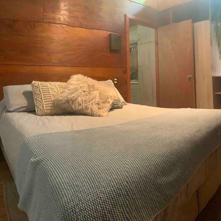 Wine Lodge Pucón - Casa con 1 dormitorio - 15