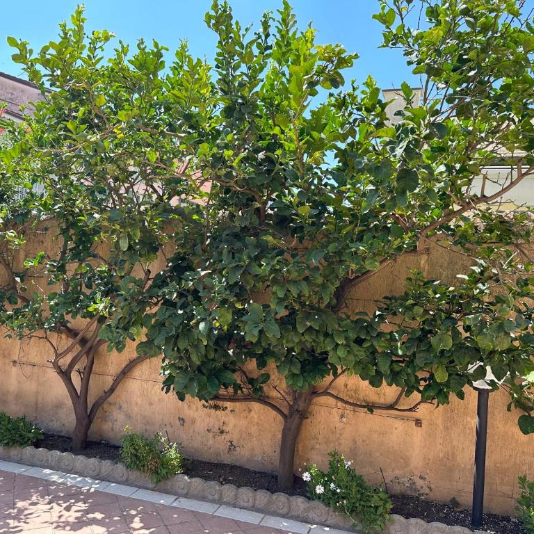 Casachiara - Appartamento con 2 Camere da Letto - 3