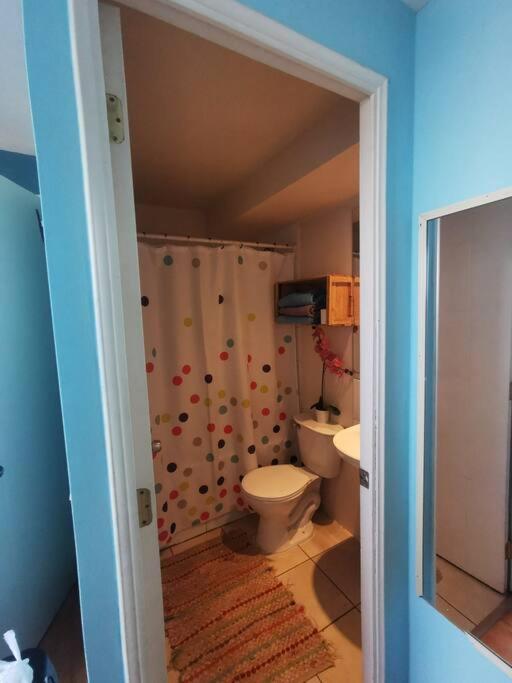 Departamento 2 dormitorios 2 baños Santiago centro cercano aeropuerto y clínicas destacadas - Apartamento de 2 dormitorios - 14