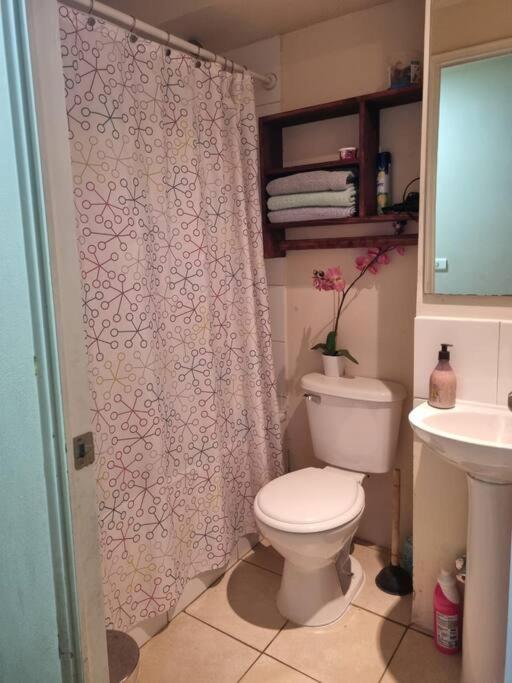 Departamento 2 dormitorios 2 baños Santiago centro cercano aeropuerto y clínicas destacadas - Apartamento de 2 dormitorios - 13