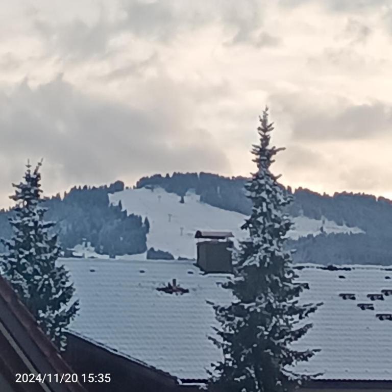 Allgäu Vibes OberstaufenPLUS bei Rosi - Bahnhof & Bergblick - Apartment mit 1 Schlafzimmer - 9