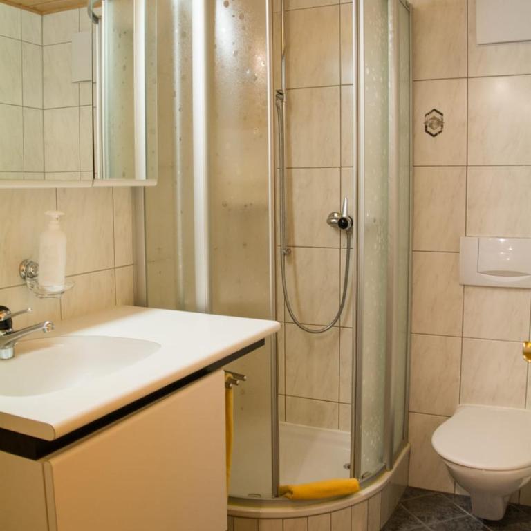 Chalet Wurzenbord 1 - Apartamento - 18