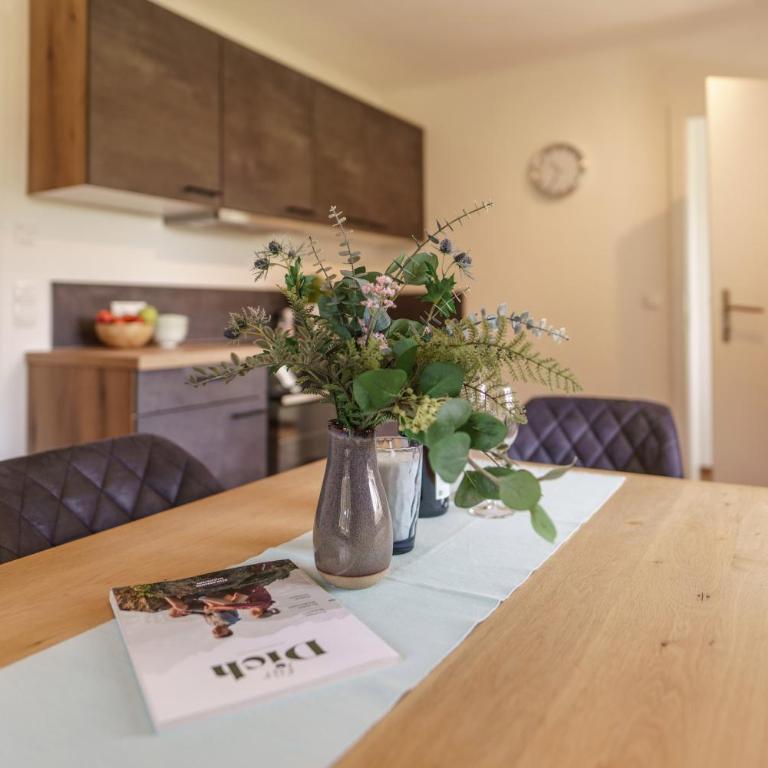 Neues Luxus APARTMENT DACHSTEIN mit eigenem Garten - inklusive Schladming Dachstein Card! - Apartment mit 1 Schlafzimmer - 24