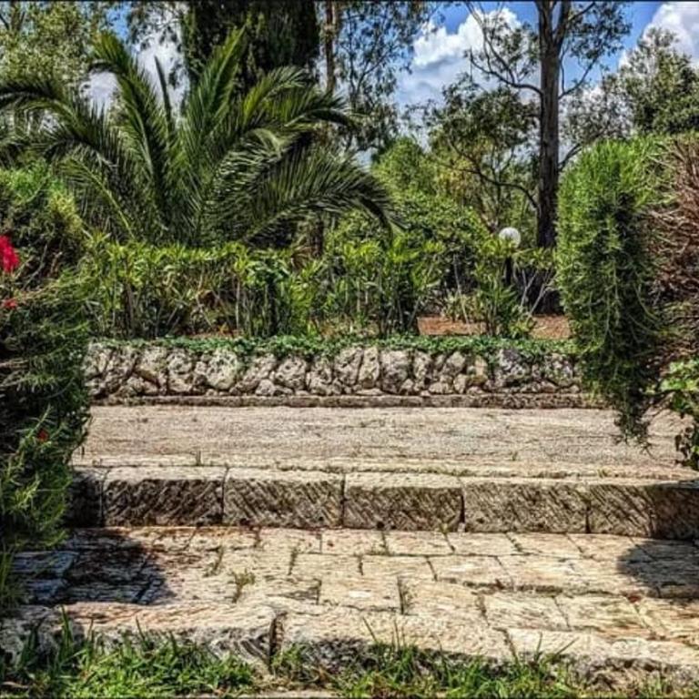 Cottage Sant Elia - Country Retreat - Villa con 3 Camere da Letto - 6