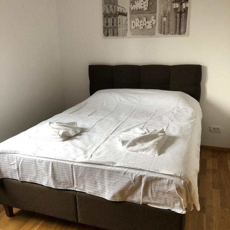 Vila Irina Kopaonik - Porodični Apartman s 1 Spavaćom Sobom - 3
