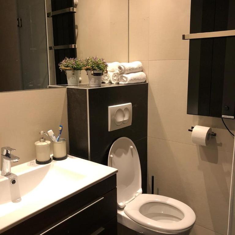 Vila Irina Kopaonik - Porodični Apartman s 1 Spavaćom Sobom - 4