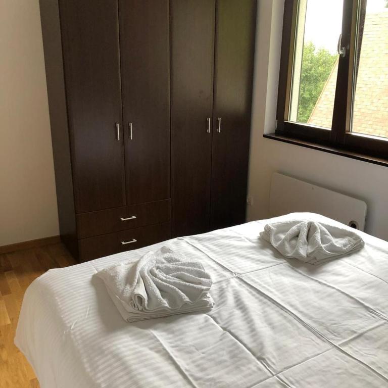 Vila Irina Kopaonik - Porodični Apartman s 1 Spavaćom Sobom - 6