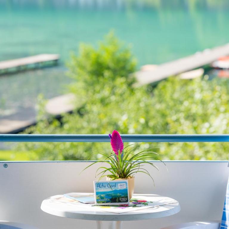 Aparthotel Klopeinersee - Studio mit Seeblick - 7