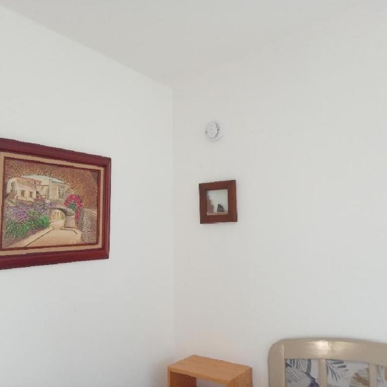 Estudio Coatí Azul en la Isla de Cozumel en el Caribe - Estudio con cama extragrande - 14