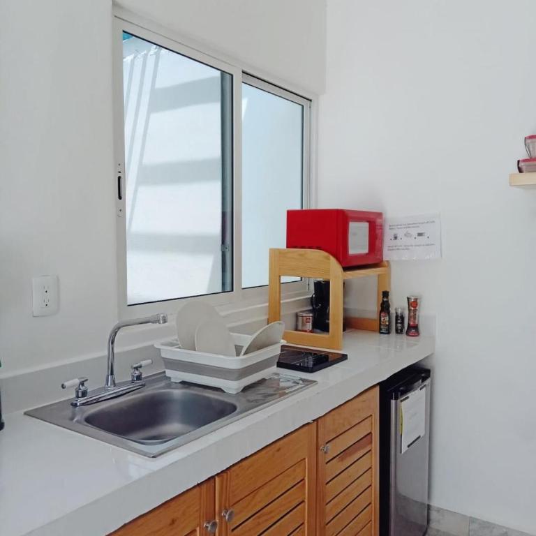 Estudio Coatí Azul en la Isla de Cozumel en el Caribe - Estudio con cama extragrande - 24