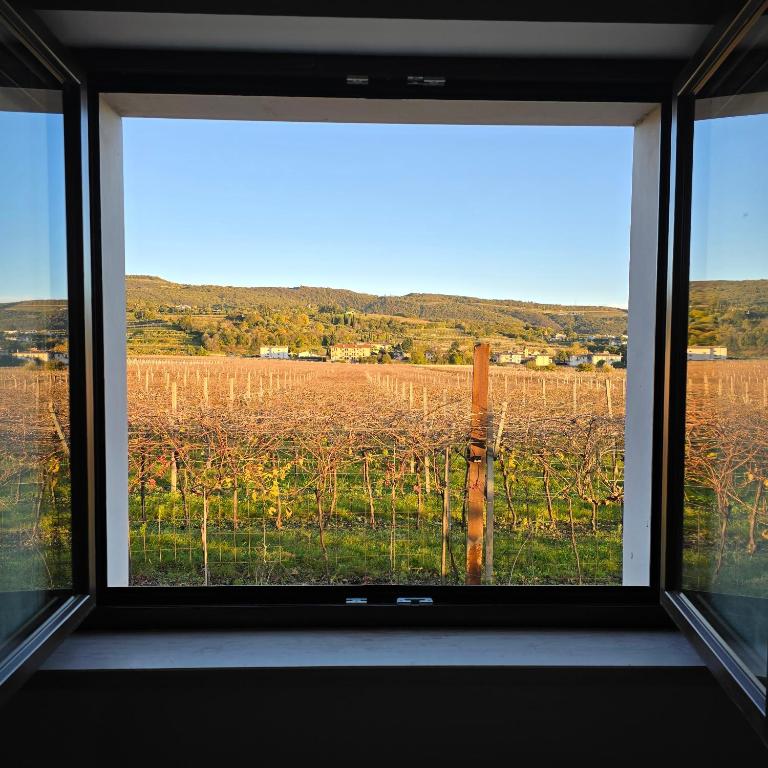 Agriturismo Igino - Camere fra Vigneti della Valpolicella - Camera Matrimoniale con Bagno Privato - 13