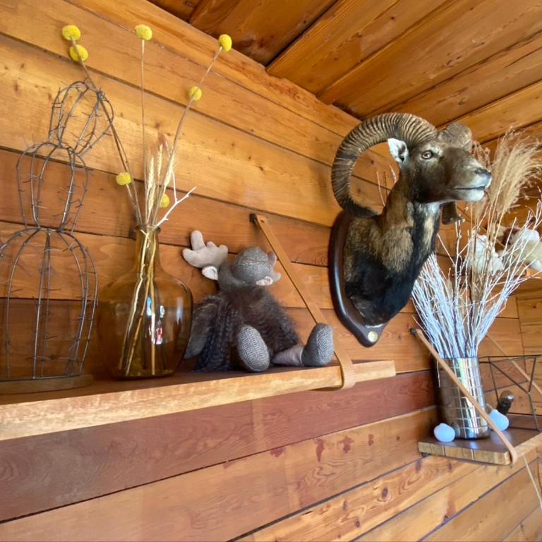 Alpe d'Huez Houses - Chalet Justine - Duplex for up to 15 people amazing location - Appartamento - 28