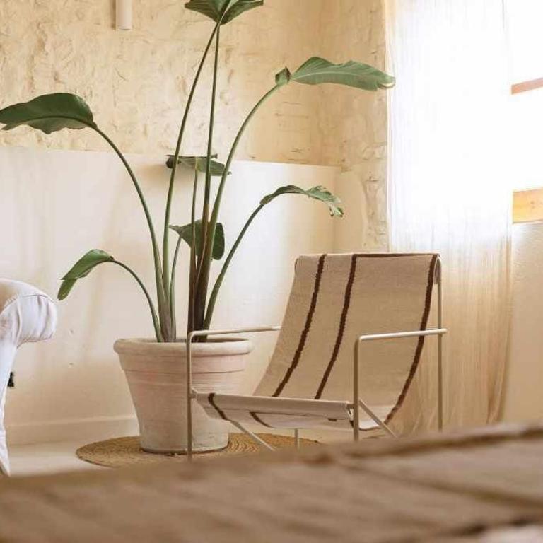 Estudio Niu Lohodihomes - Apartamento de 1 dormitorio - 3